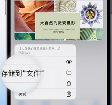 镇江apple维修中心分享iPhone文件应用中存储和找到下载文件