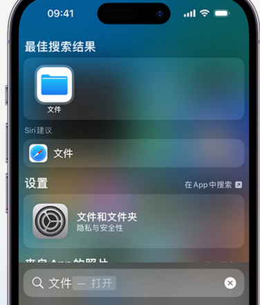 镇江apple维修中心分享iPhone文件应用中存储和找到下载文件 