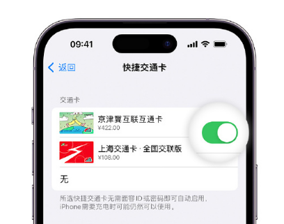 镇江apple维修点分享iPhone上更换Apple Pay快捷交通卡手绘卡面 