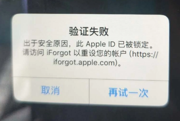 镇江iPhone维修分享iPhone上正常登录或使用AppleID怎么办 