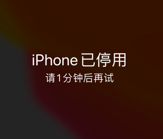 镇江苹果手机维修分享:iPhone 显示“不可用”或“已停用”怎么办？还能保留数据吗？ 