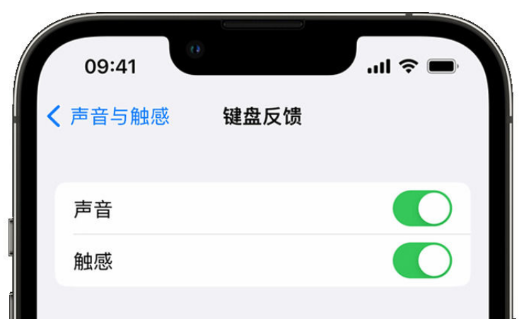 镇江苹果手机维修分享iPhone 14触感键盘使用方法 