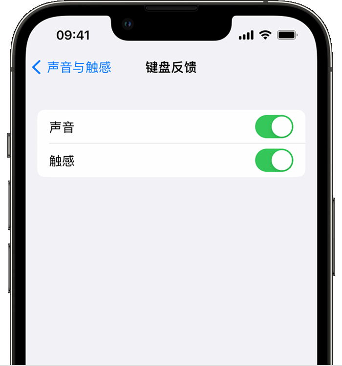 镇江苹果14维修店分享如何在 iPhone 14 机型中使用触感键盘 