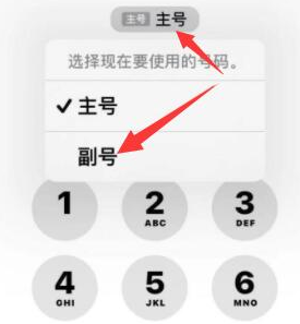 镇江苹果14维修店分享iPhone 14 Pro Max使用副卡打电话的方法 