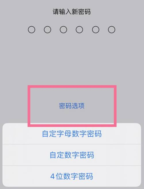 镇江苹果14维修分享iPhone 14plus设置密码的方法 