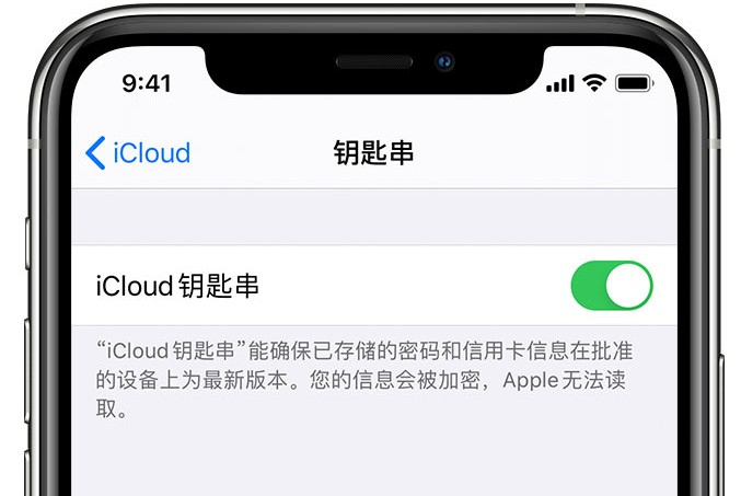 镇江苹果手机维修分享在 iPhone 上开启 iCloud 钥匙串之后会储存哪些信息 