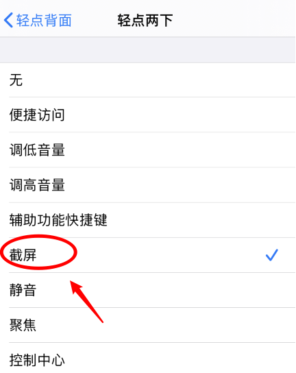 镇江苹果手机维修分享iPhone12如何启用双击截屏 