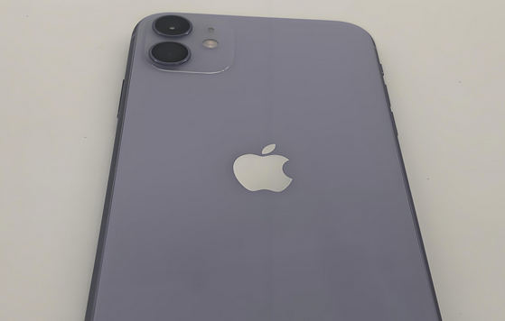 镇江苹果11系统维修分享iPhone11手机系统崩溃无法开机如何解决 